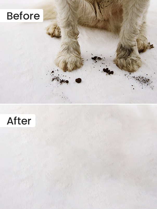 Before After